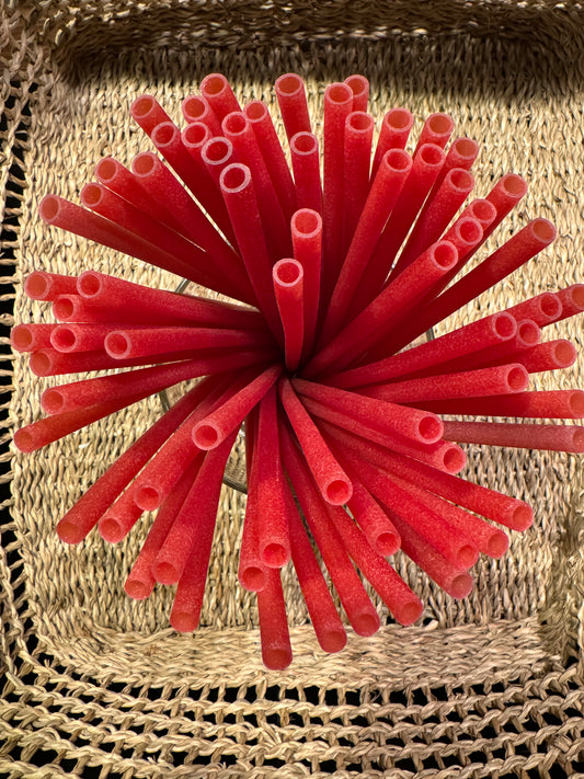 100 Red Rice Straws